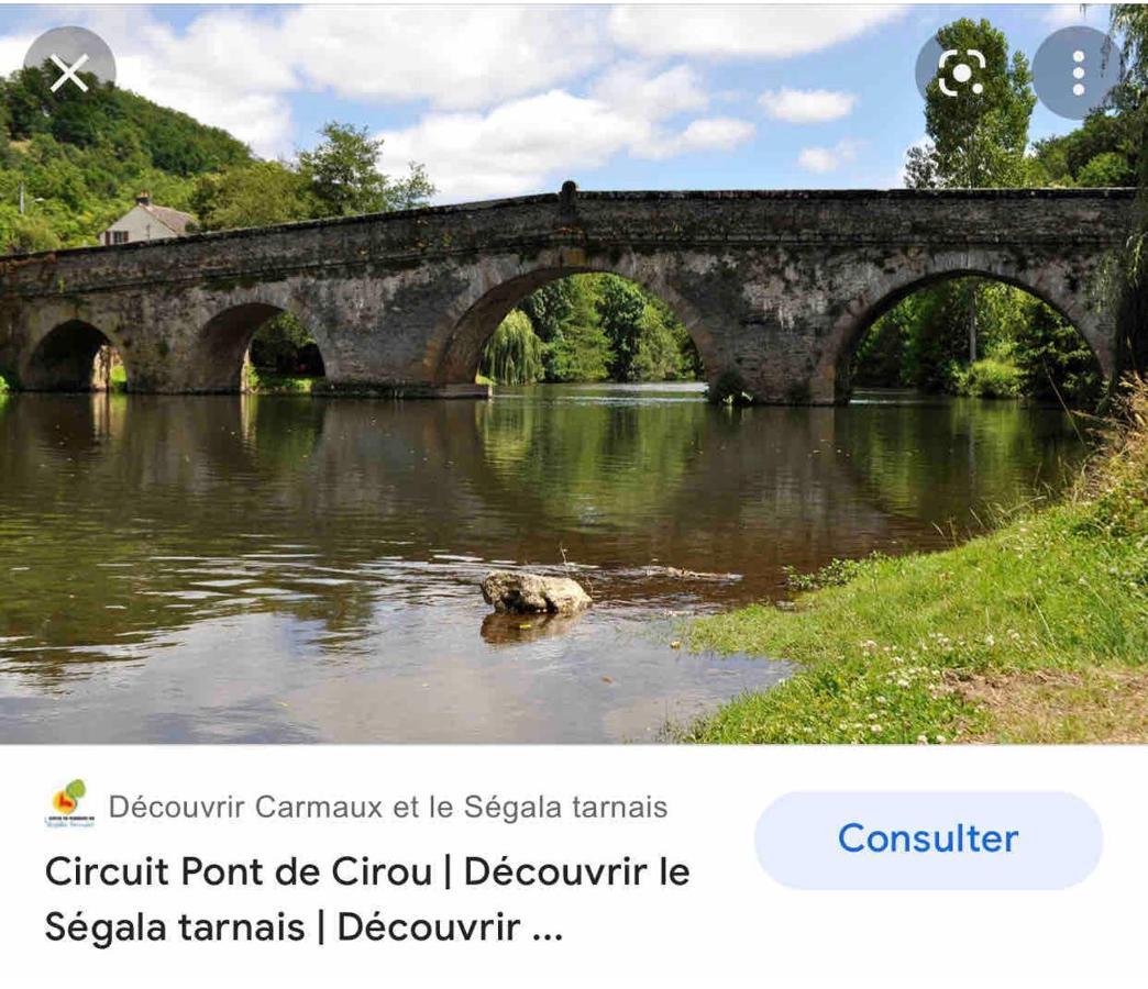 Le Gite De Las Peyros Mirandol-Bourgnounac Экстерьер фото