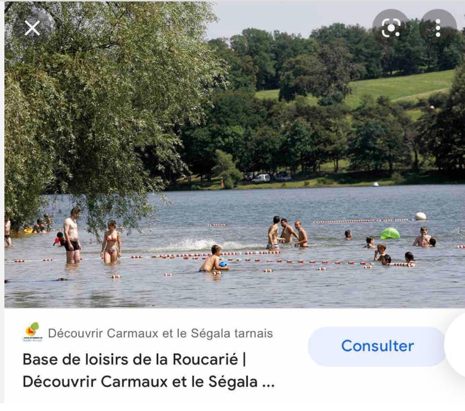 Le Gite De Las Peyros Mirandol-Bourgnounac Экстерьер фото